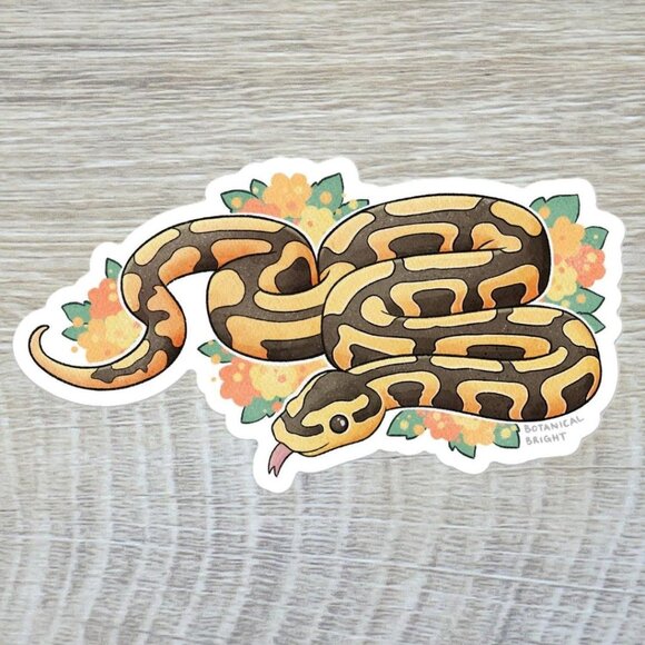 3 for $15‎ - Ball Python Snake Sticker - Waterproof Vinyl Nature Decal - Picture 6 of 7